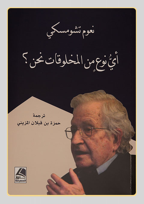 غلاف الكتاب - حمزة بن قبلان المزيني